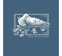 Thomas Nelson La NET Abide Bible Journal - Song of Solomon, Paperback, Comfort Thomas Nelson Multicolor