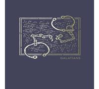 Thomas Nelson NET Abide Bible Journal - Galatians, Paperback, Comfort Print Thomas Nelson Multicolor
