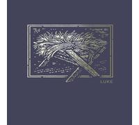 Thomas Nelson NET Abide Bible Journal - Luke, Paperback, Comfort Print Softcover Thomas Nelson Multicolor