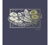 Thomas Nelson NET Abide Bible Journal - Mark, Paperback, Comfort Print Softcover Thomas Nelson Multicolor