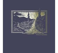 Thomas Nelson NET Abide Bible Journal - Proverbs, Paperback, Comfort Print Thomas Nelson Multicolor