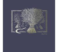 Thomas Nelson NET Abide Bible Journal - Ruth, Paperback, Comfort Print Softcover Thomas Nelson Multicolor