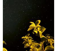 Thomas Peter - changing bodies [VINYL]