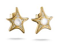 Thomas Sabo 18k Gold Plated Ear Studs H2351-M01-14 | Acotis - Alloy / 18ct Gold Plated