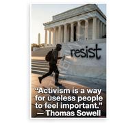 Thomas Sowell "Activism is a Way for Useless People to Feel Important" Inspirational 12x18 US Made Poster