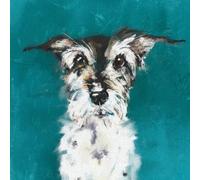 Thomasina On Red And Green