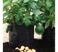 Thompson & Morgan 20 Potato Growing Bags Black/grey Reusable Durable X 8L Capacity Growing Bags By Thompson And Morgan