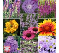 Thompson & Morgan 3 Mixed Cottage Garden Perennials - Potted Plants (9Cm Pots) - Easy Care, Add Colour To Garden Borders