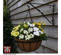 Thompson & Morgan 30cm Metal Hanging Basket with Coco Liner and Wall Bracket Garden Set Ideal for trailing plants (2)