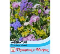 Thompson & Morgan Ageratum Houstonianum Timeless Mixed 1 Seed Packet (100 Seeds)