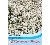 Thompson & Morgan Alyssum Carpet Of Snow 1 Seed Packet (1,000 Seeds)