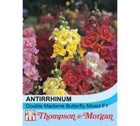 Thompson & Morgan Antirrhinum Double Madame Butterfly Mixed F1 Hybrid 1 Packet (60 Seeds)