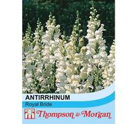 Thompson & Morgan Antirrhinum Majus Royal Bride 1 Packet (400 Seeds), White