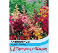 Thompson & Morgan Antirrhinum Nanum Frosted Flames 1 Seed Packet (60 Seeds), Multi