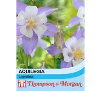 Thompson & Morgan Aquilegia Caerulea 1 Packet (100 Seeds)