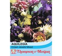 Thompson & Morgan Aquilegia Crown Jewels Mixed 1 Seed Packet