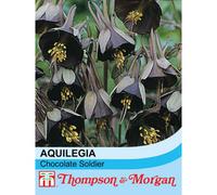 Thompson & Morgan Aquilegia Viridiflora Chocolate Soldier 1 Packet (15 Seeds)