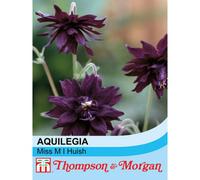 Thompson & Morgan Aquilegia Vulgaris Miss M.i. Huish 1 Seed Packet (50 Seeds)