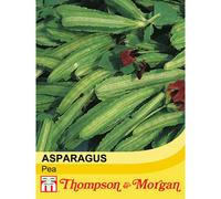 Thompson & Morgan Asparagus Pea 1 Seed Packet (35 Seeds)