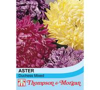 Thompson & Morgan Aster Duchess Mixed 1 Seed Packet (250 Seeds)