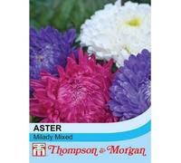 Thompson & Morgan Aster Milady Mixed 1 Seed Packet (150 Seeds)