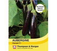 Thompson & Morgan Aubergine Hansel F1 1 Seed Packet (5 Seeds)