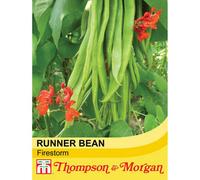 Thompson & Morgan Bean Runner Firestorm 1 Seed Packet (40 Seeds)