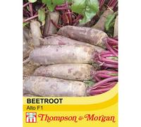 Thompson & Morgan Beetroot Alto F1 Hybrid 1 Seed Packet (250 Seeds)