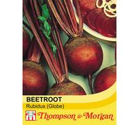 Thompson & Morgan Beetroot Detroit 6 Rubidus 1 Seed Packet (200 Seeds)