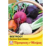 Thompson & Morgan Beetroot Rainbow Beet 1 Seed Packet (250 Seeds)