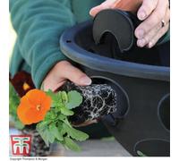 Thompson & Morgan Bloomaround Hanging Basket X 10 Baskets Ideal For Bedding Plants