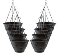 Thompson & Morgan Bloomaround Hanging Basket X8 (30Cm)