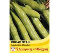 Thompson & Morgan Broad Bean Aquadulce Claudia 1 Seed Packet (30 Seeds)