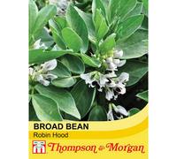 Thompson & Morgan Broad Bean Robin Hood 1 Seed Packet (35 Seeds), Green