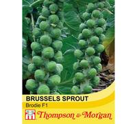 Thompson & Morgan Brussels Sprout Brodie F1 Hybrid 1 Seed Packet (35 Seeds)