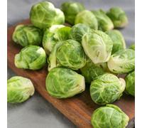 Thompson & Morgan Brussels Sprout Long Island Seeds Hardy Semi-Dwarf Winter Variety Sweet Firm Sprouts. 1X Packet 200 Seeds.