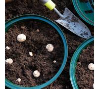 Thompson & Morgan Bulb Planting Baskets X 5 - Easy To Use - Durable