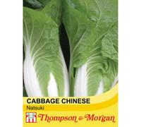 Thompson & Morgan Cabbage Chinese Natsuki F1 Hybrid 1 Seed Packet (30 Seeds)