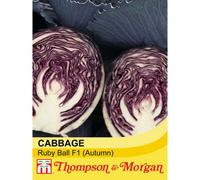 Thompson & Morgan Cabbage Ruby Ball F1 Hybrid 1 Seed Packet (40 Seeds)