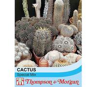 Thompson & Morgan Cactus T&m Special Mix 1 Seed Packet (80 Seeds)
