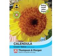 Thompson & Morgan Calendula Double Crested Crown Yellow 1 Packet (100 Seeds)