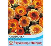 Thompson & Morgan Calendula Pink Surprise 1 Seed Packet (100 Seeds)