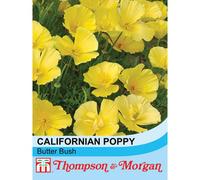 Thompson & Morgan Californian Poppy Butter Bush 1 Seed Packet (150 Seeds)