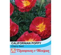 Thompson & Morgan Californian Poppy Cherry Swirl 1 Packet (125 Seeds), Red