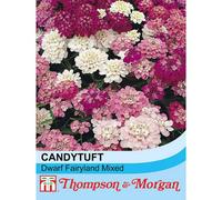 Thompson & Morgan Candytuft Dwarf Fairy 1 Seed Packet (500 Seeds)