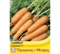 Thompson & Morgan Carrot Adelaide F1 Hybrid 1 Seed Packet (400 Seeds)