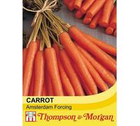 Thompson & Morgan Carrot Amsterdam Forcing 3 3 Packets Inc: (1500 Seeds)