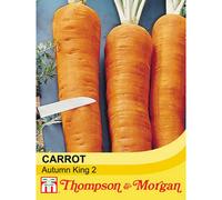 Thompson & Morgan Carrot Autumn King 2 1 Seed Packet (1100 Seeds)