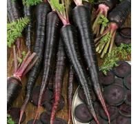 Thompson & Morgan Carrot Black Nebula 1 Seed Packet
