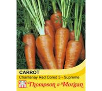 Thompson & Morgan Carrot Chantenay Red Cored 3 Supreme 1 Seed Packet (1500 Seeds)